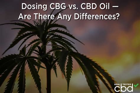 Dosing CBG vs. CBD Oil — Are There Any Differences?